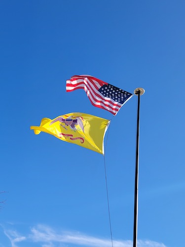 45 star flag and rr regimental flag copy 1