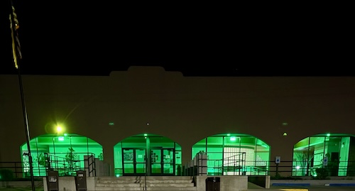 vets recog week green