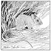 western harvest mouse