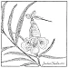 desert willow
