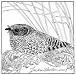 common poorwill 2023 11 06 00 49 13 utc