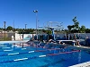 SilverSwordfish2026